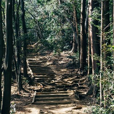 闪耀圣骑星空物语手游下载