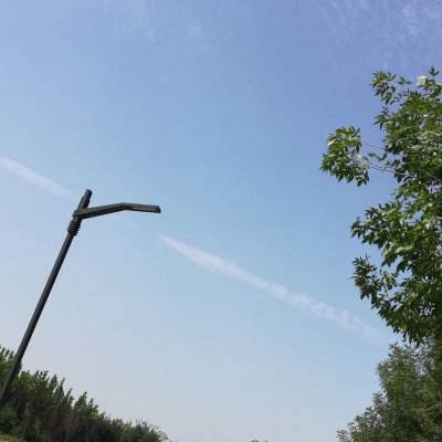 方块大逃杀无限金币破解版下载